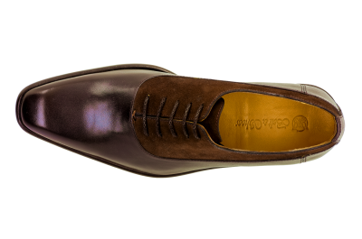 Carolina Chocolate-Brown