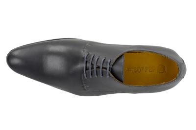 Louisiana Grey