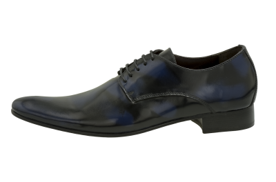 Rhode Island Blue black
