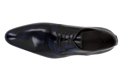 Rhode Island Blue black